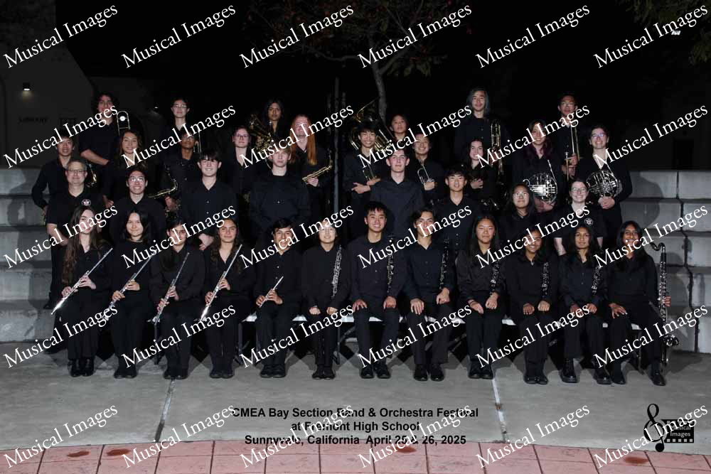 Musical Images